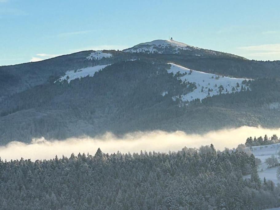 Un Coin De Montagne Leilighet Linthal Eksteriør bilde